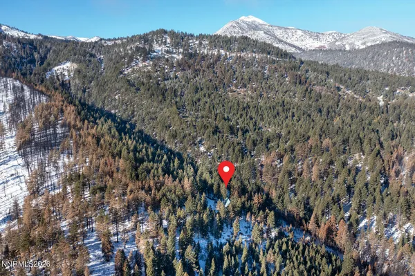 a view of a dry yard with mountains in the background