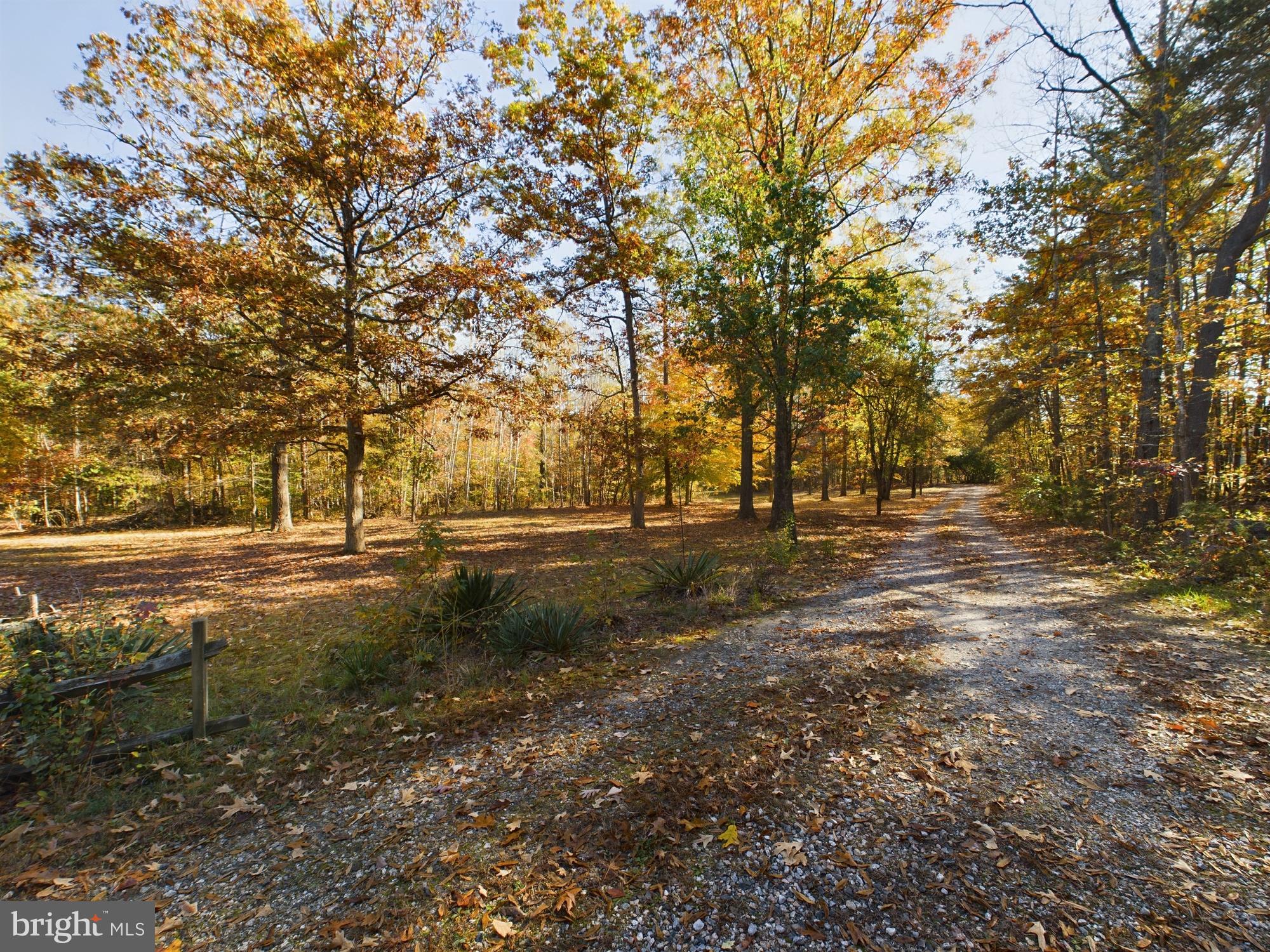 5141 New Line Road Gum Spring, VA 23065 - Photo 3 of 44 Private driveway with circular