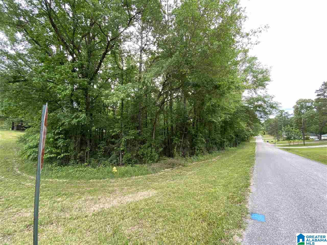 0 2nd Avenue, Unit 95 Calera, AL 35040 - Photo 6 of 6