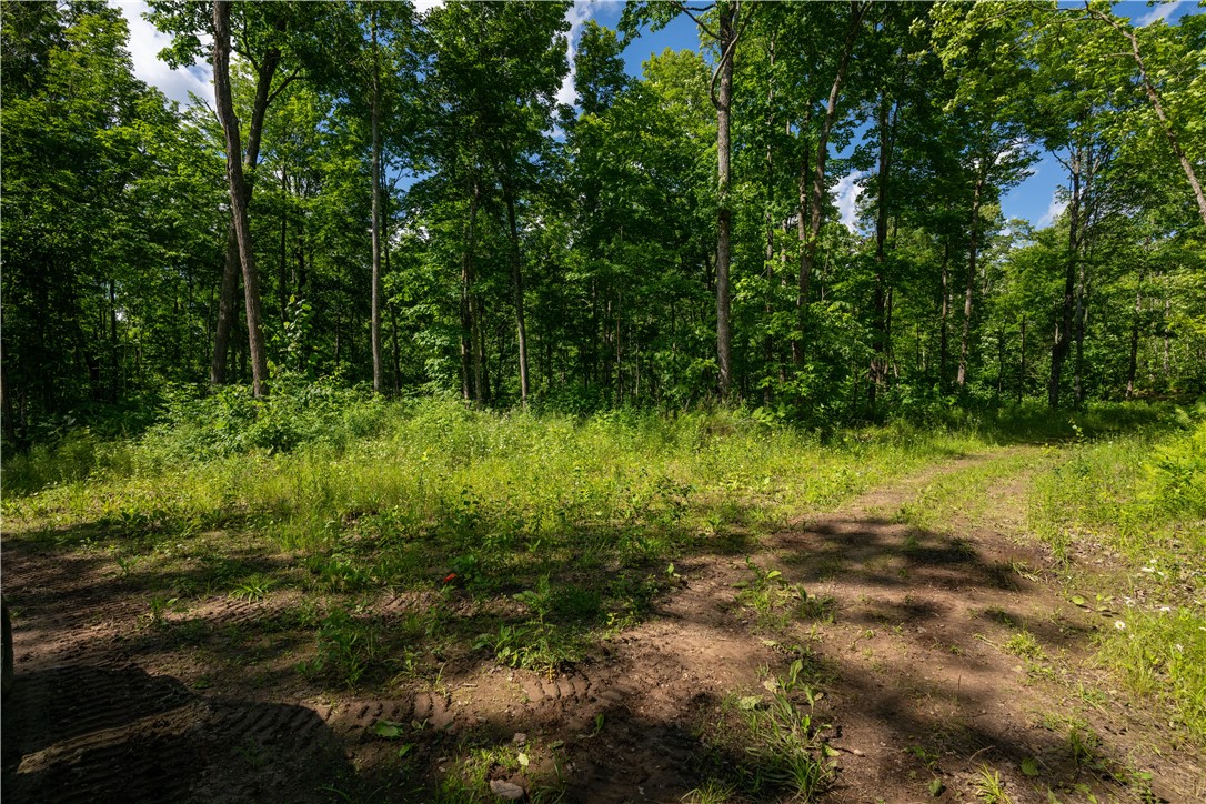 12915 West Preserve Road Hayward, WI 54843 - Photo 17 of 23