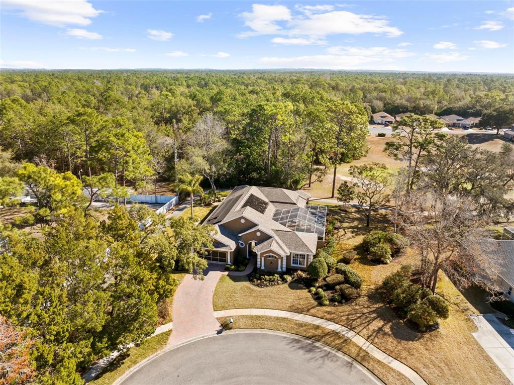 15198 Surrey Bend Spring Hill, FL 34609 - Photo 4 of 56