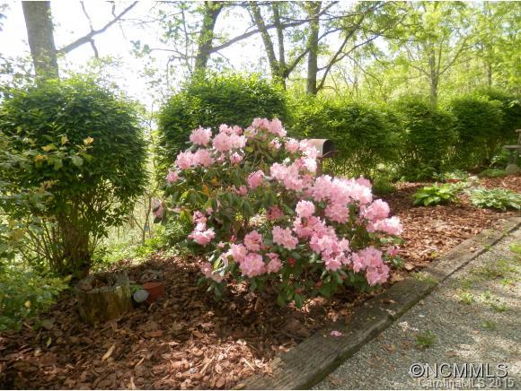900 Mountain Cove Road Waynesville, NC 28786 - Photo 3 of 24 a view of a bunch of flowers