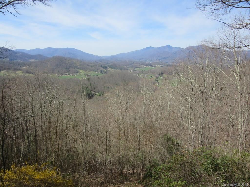 900 Mountain Cove Road Waynesville, NC 28786 - Photo 23 of 24 a view of a mountain in the distance