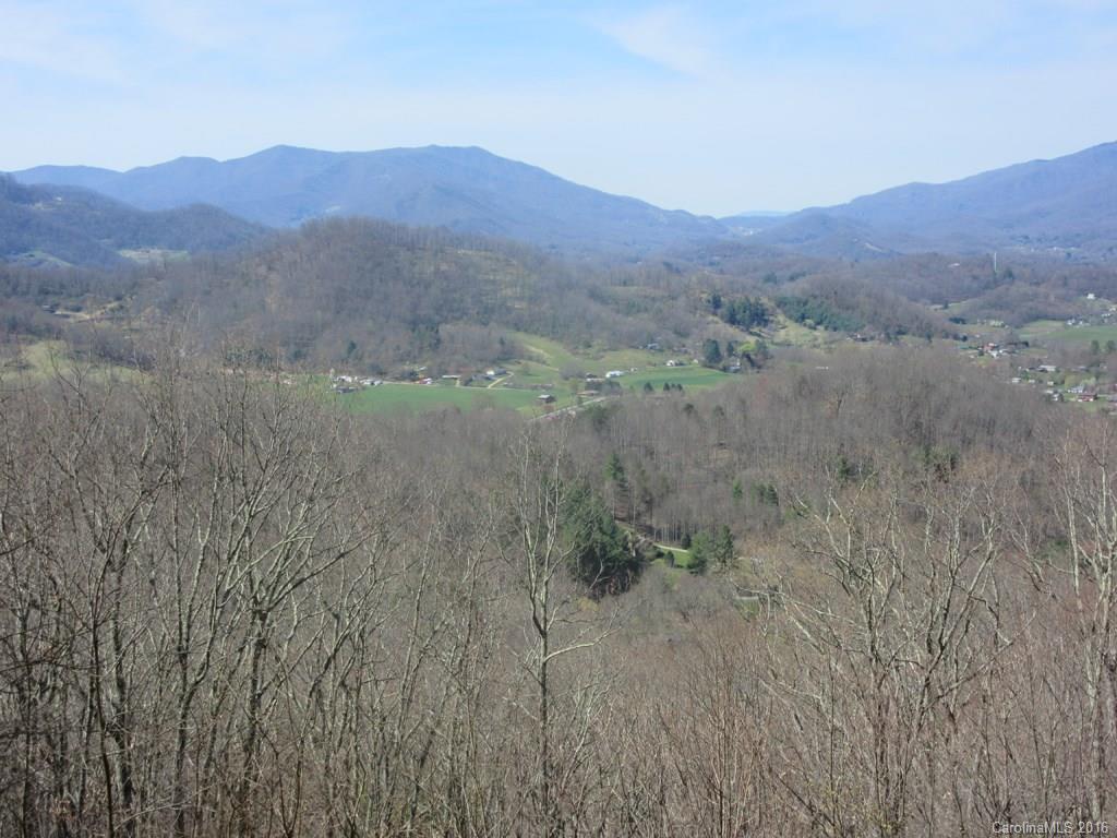 900 Mountain Cove Road Waynesville, NC 28786 - Photo 24 of 24 a view of a lush green hillside and a houses