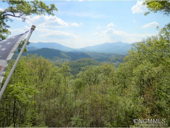 900 Mountain Cove Road Waynesville, NC 28786 - Photo 5 of 24 a view of a forest with mountains in the background