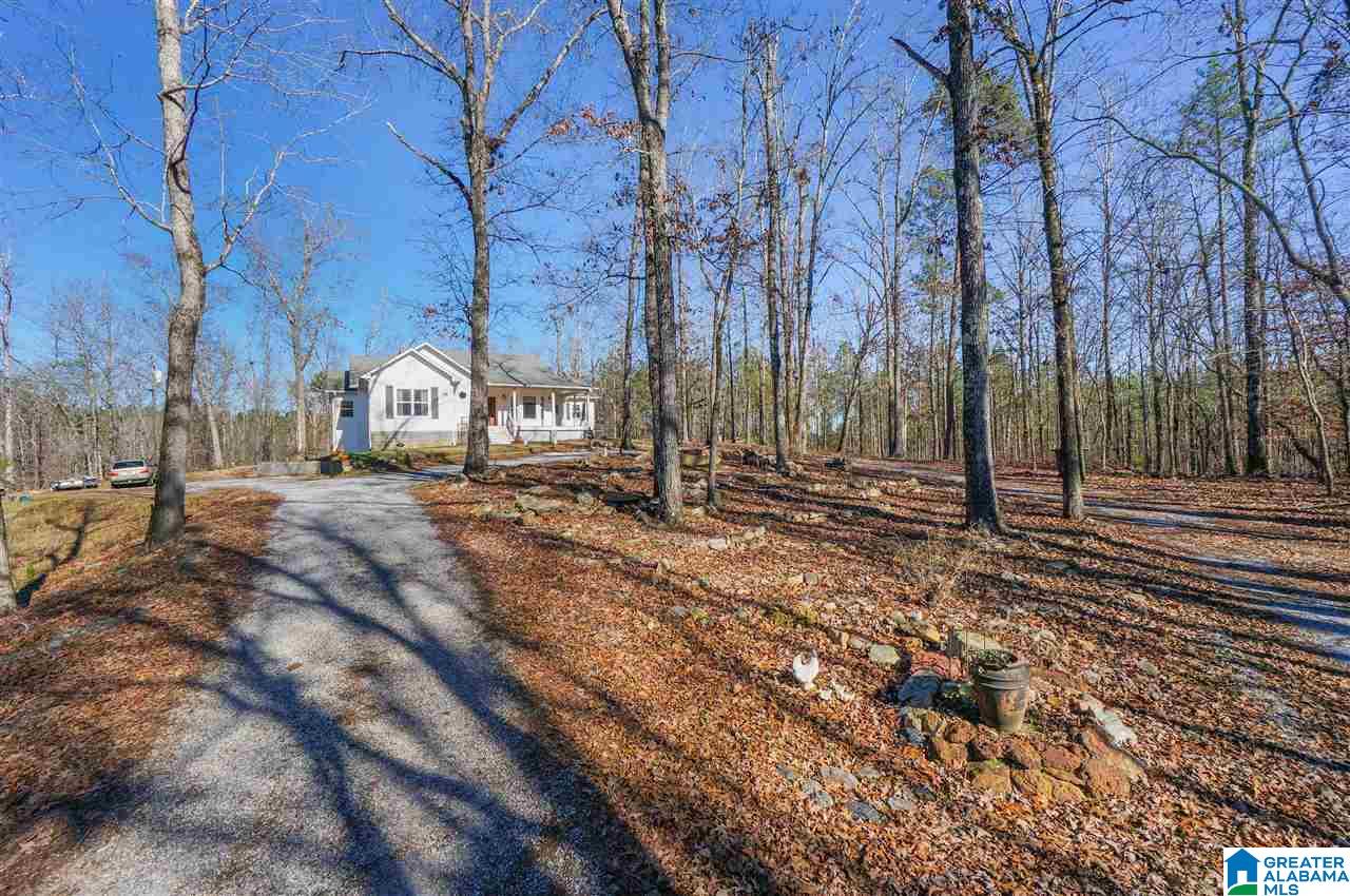 8300 Highway 145 Clanton, AL 35046 - Photo 46 of 46