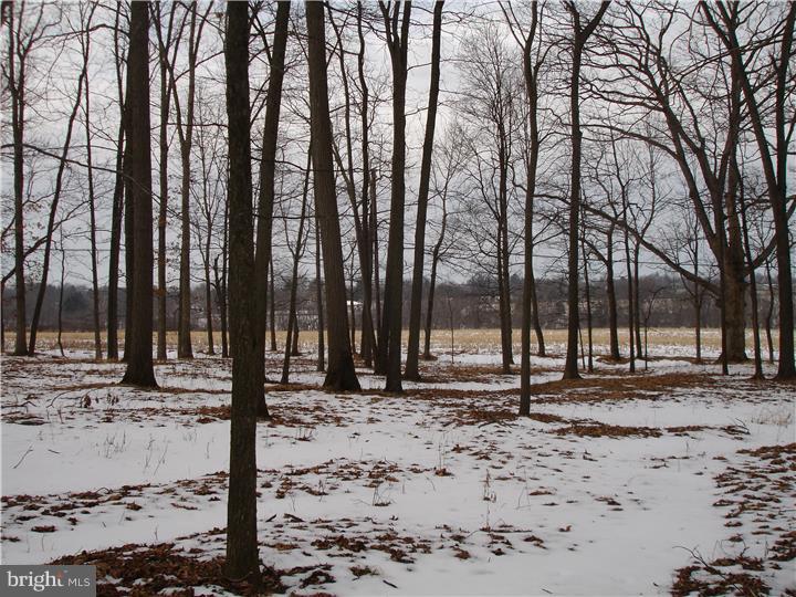 Lot 1 Township Line Road Pipersville, PA 18947 - Photo 1 of 5 Gallery Image 1