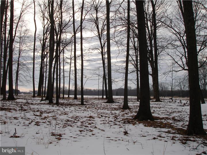 Lot 1 Township Line Road Pipersville, PA 18947 - Photo 3 of 5 Gallery Image 3