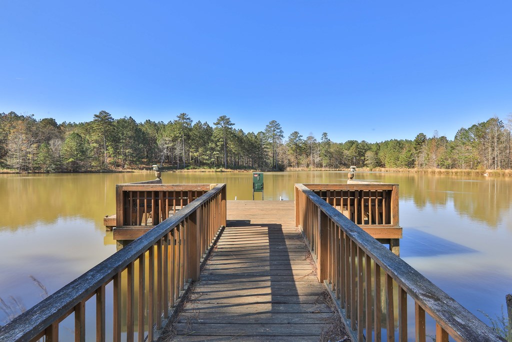 2851 Gay Road Greenville, GA 30222 - Photo 17 of 21 Gallery Image 17