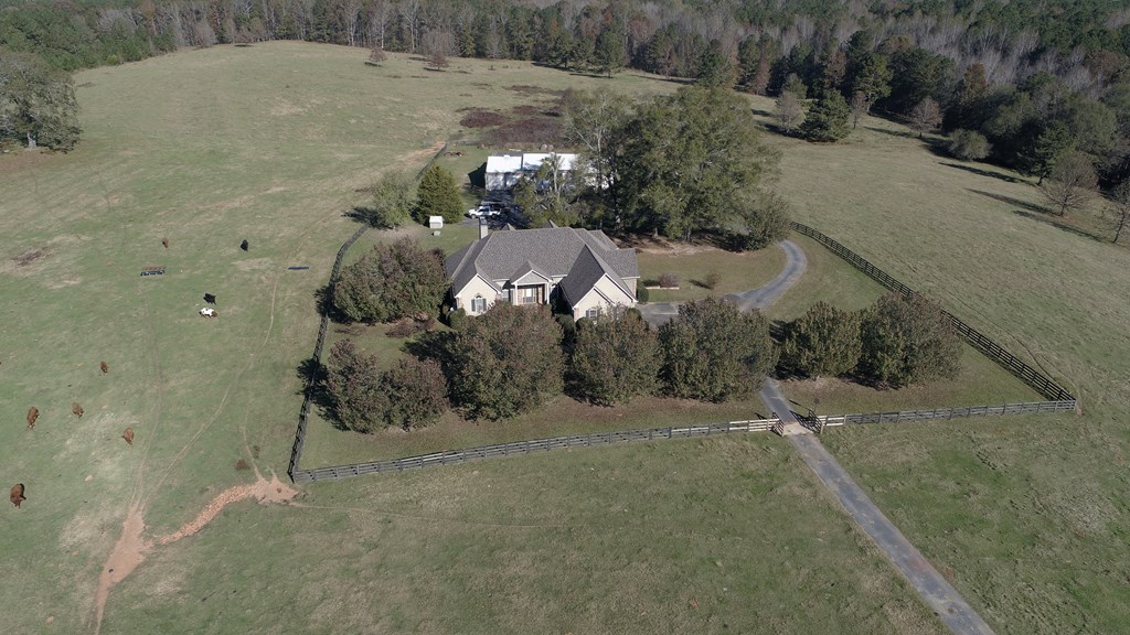 2851 Gay Road Greenville, GA 30222 - Photo 3 of 21 Gallery Image 3