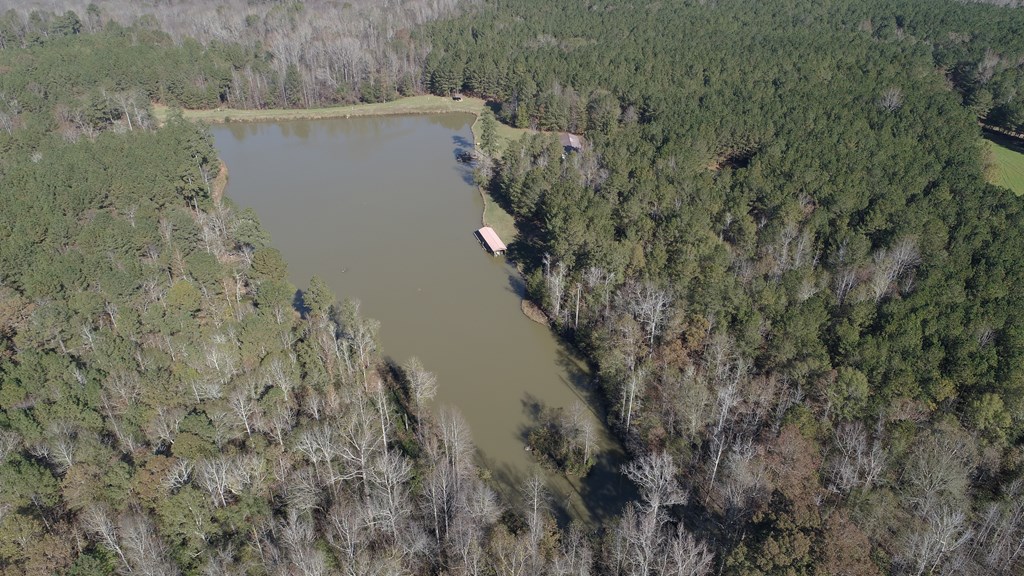 2851 Gay Road Greenville, GA 30222 - Photo 6 of 21 Gallery Image 6