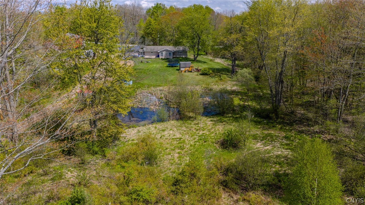 1557 Co Rte 7 Hannibal, NY 13126 - Photo 45 of 47 Pond located in the center of the property separat