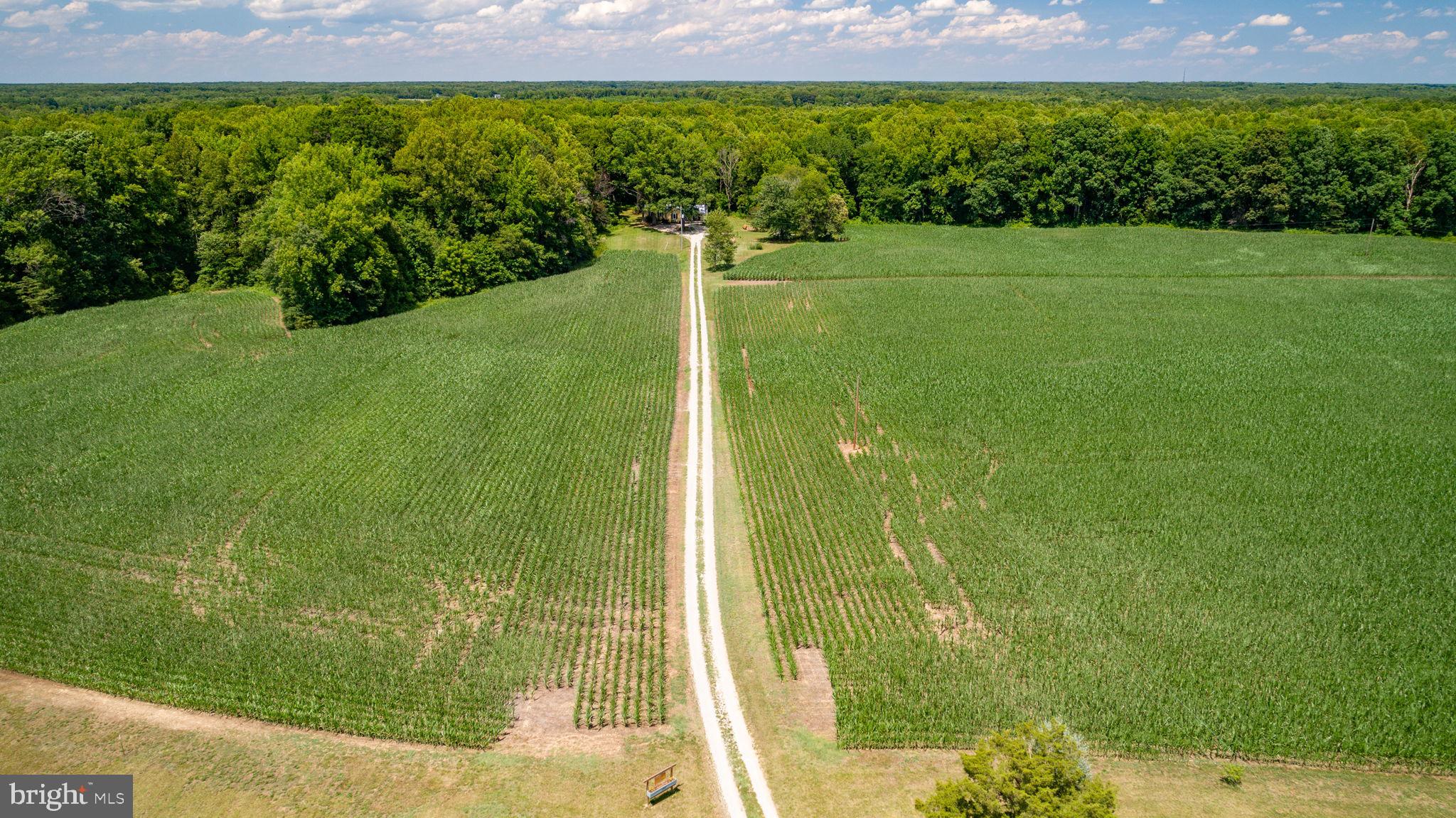 17254 Summer Meadow Road Beaverdam, VA 23015 - Photo 43 of 43 Thanks for visiting! Book your showing today!