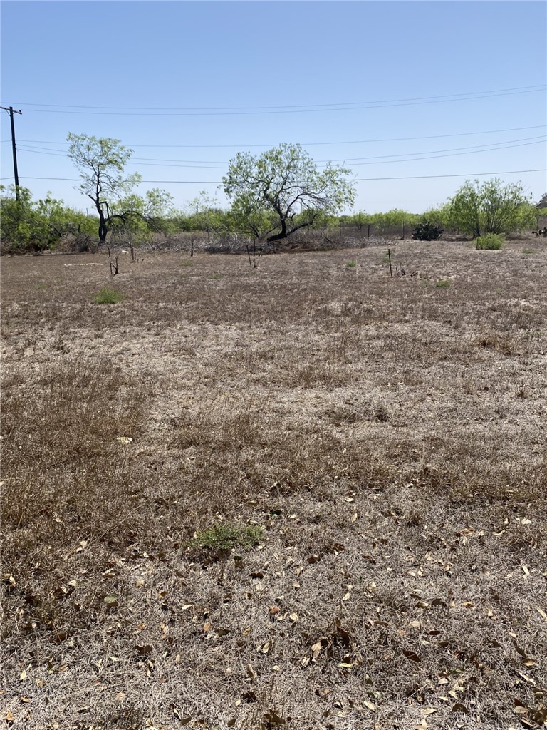 603 Southwest Sw 10th Street Premont, TX 78375 - Photo 1 of 4 a view of a field with an trees