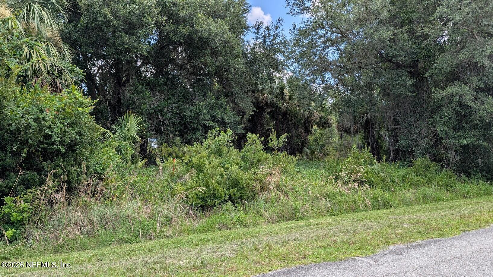 710 Paradise Boulevard Georgetown, FL 32139 - Photo 7 of 14 7