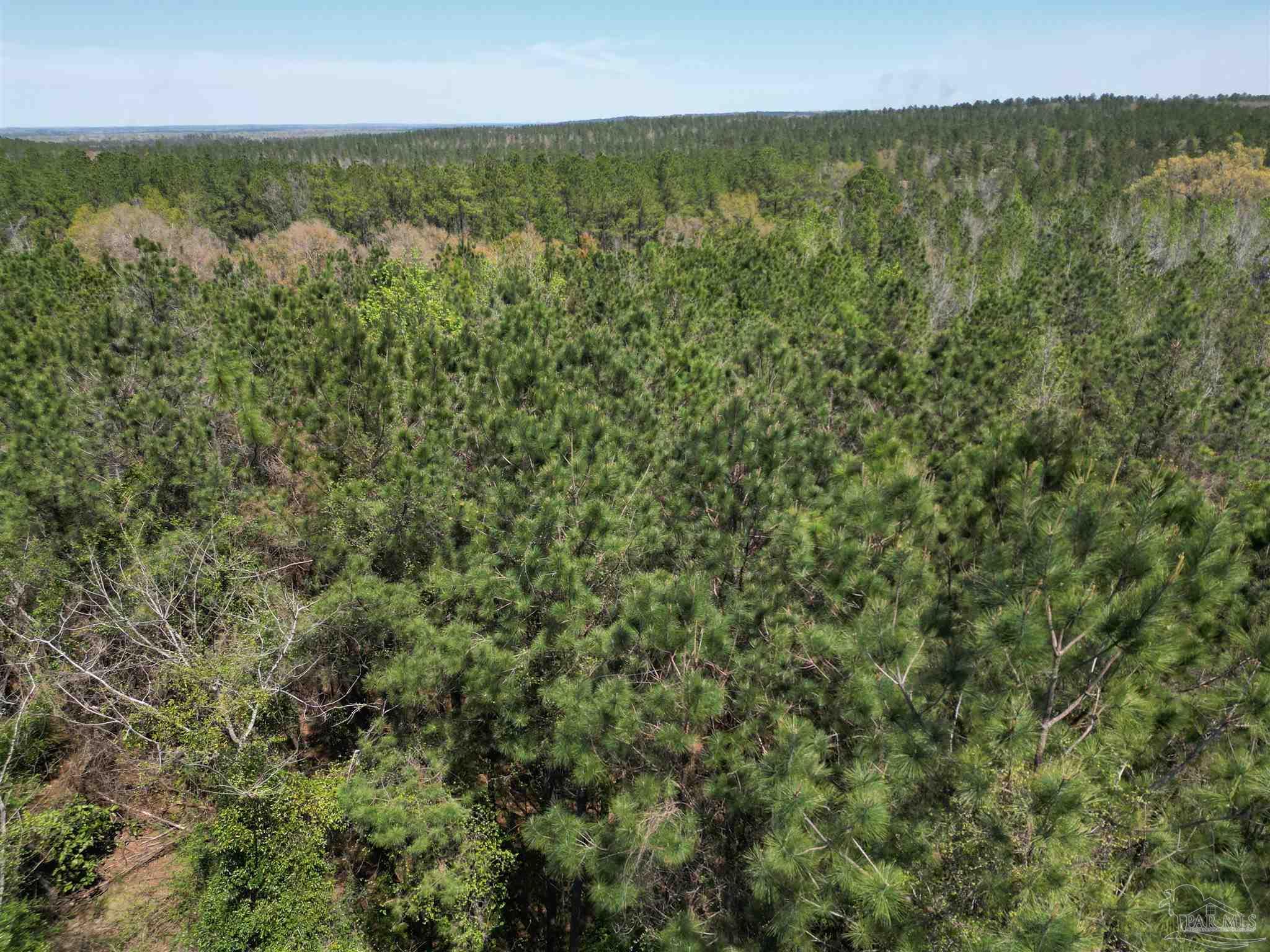 0 Dykestown Road Jay, FL 32565 - Photo 2 of 11