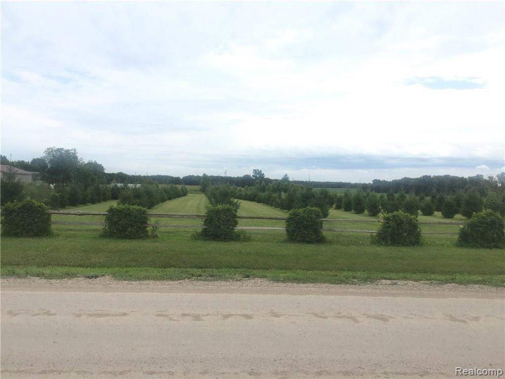 Vl Howland Road Almont, MI 48003 - Photo 5 of 5