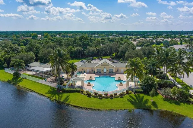 a view of a yard with plants and large trees