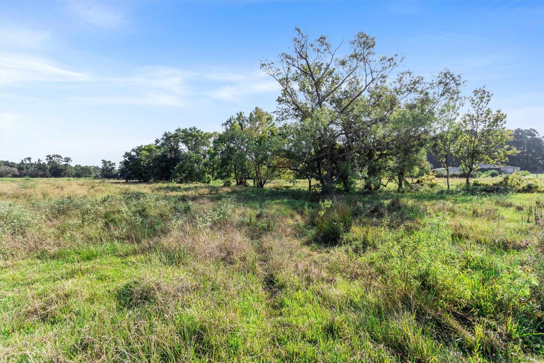 22.4-acres Bailey Grove Road Montgomery, TX 77356 - Photo 21 of 38 Gallery Image 21