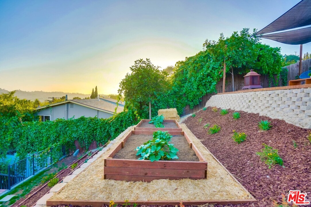2049 Rome Drive Los Angeles, CA 90065 - Photo 32 of 43 a view of a garden with potted plants