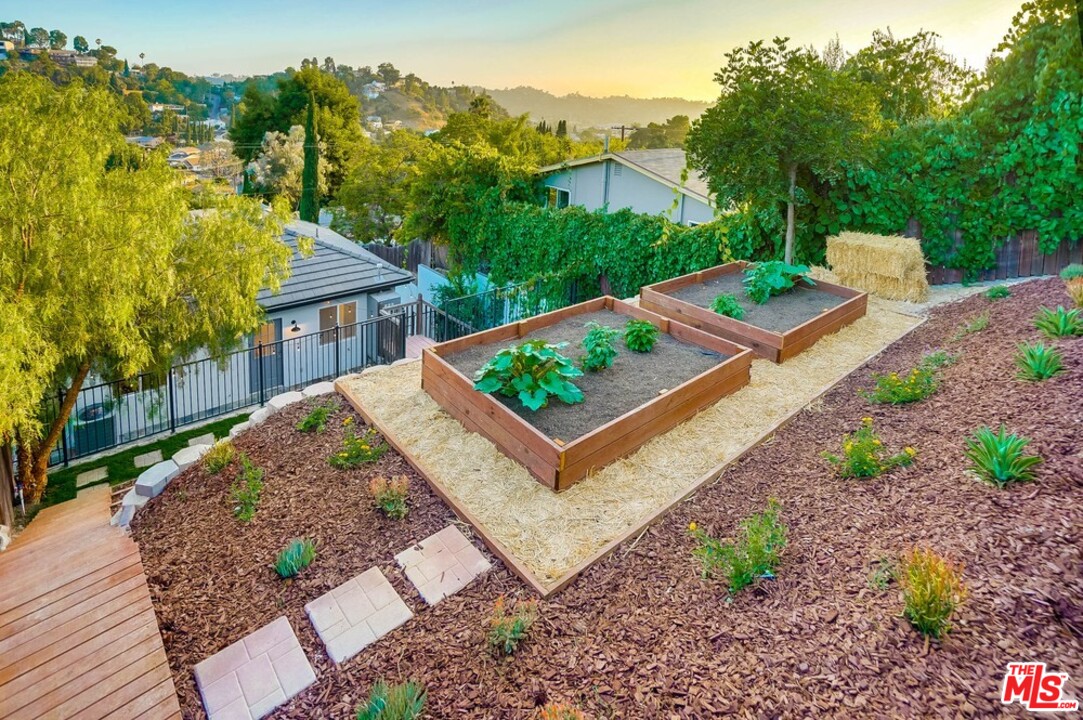 2049 Rome Drive Los Angeles, CA 90065 - Photo 33 of 43 a view of a backyard with a garden and plants