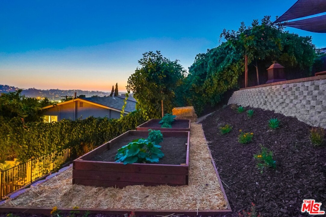 2049 Rome Drive Los Angeles, CA 90065 - Photo 39 of 43 a view of a backyard with potted plants