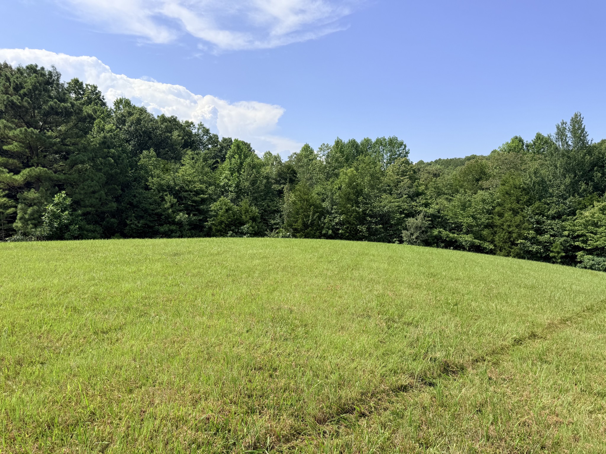 0 Ghea Normandy, TN 37360 - Photo 4 of 46