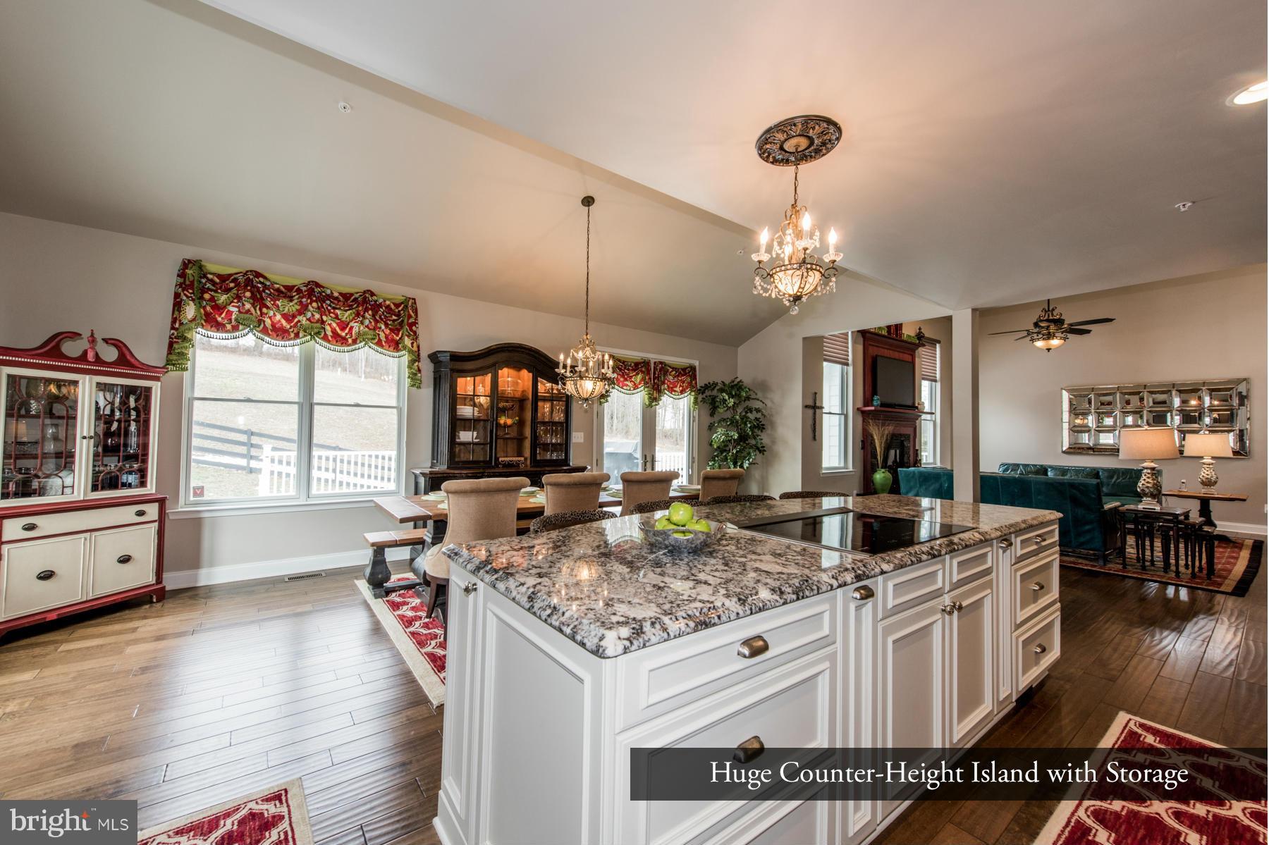 4405 Roop Road Mount Airy, MD 21771 - Photo 16 of 30 Island Breakfast Bar Overlooks Dining Room