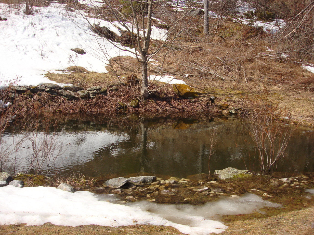 100 River Road Savoy, MA 01256 - Photo 17 of 34 Pond