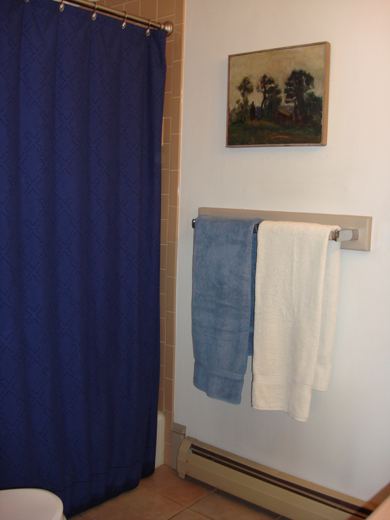 100 River Road Savoy, MA 01256 - Photo 6 of 34 1st Floor Bath