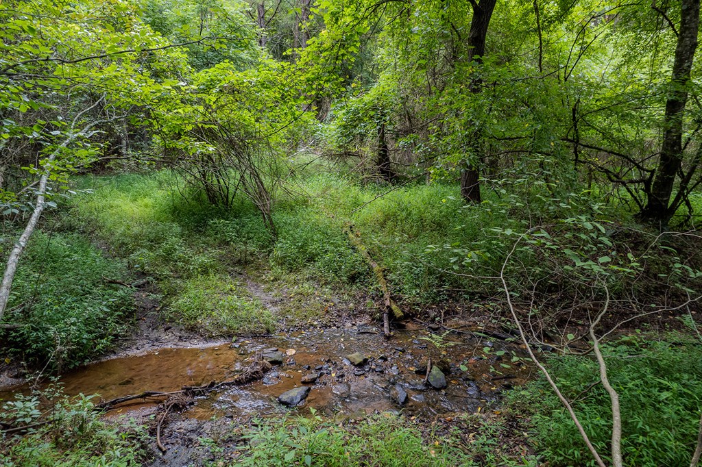 13.59-ac Ridgeway Church Road Ellijay, GA 30540 - Photo 12 of 13