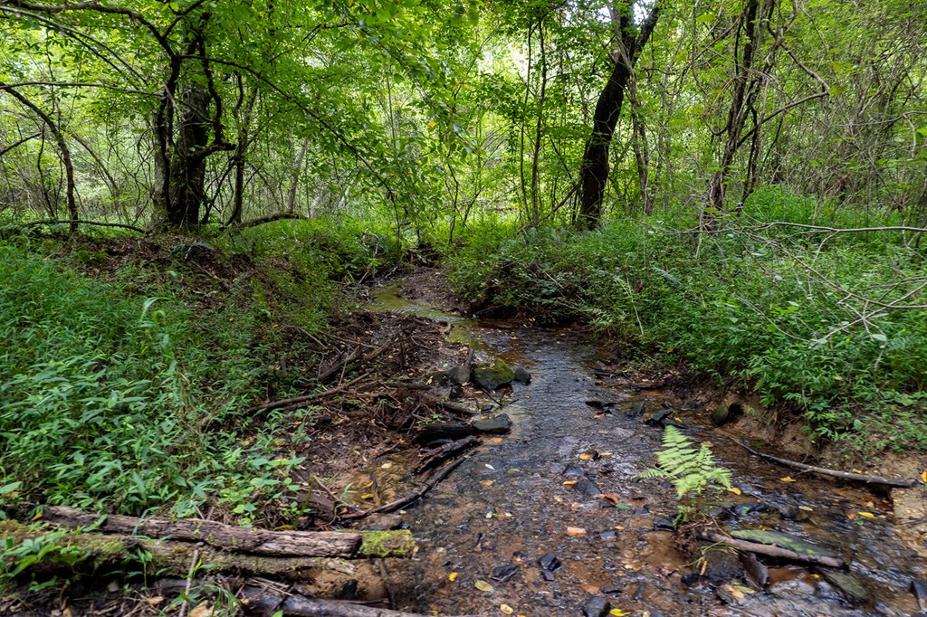 13.59-ac Ridgeway Church Road Ellijay, GA 30540 - Photo 5 of 13