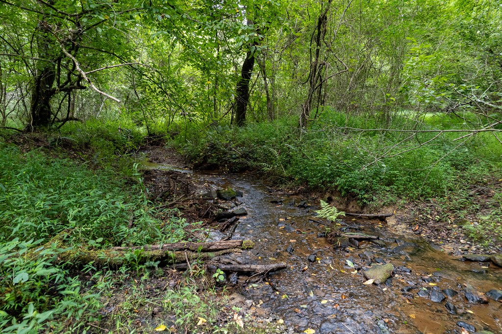 13.59-ac Ridgeway Church Road Ellijay, GA 30540 - Photo 8 of 13