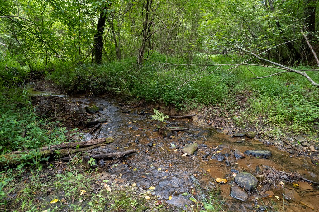 13.59-ac Ridgeway Church Road Ellijay, GA 30540 - Photo 10 of 13