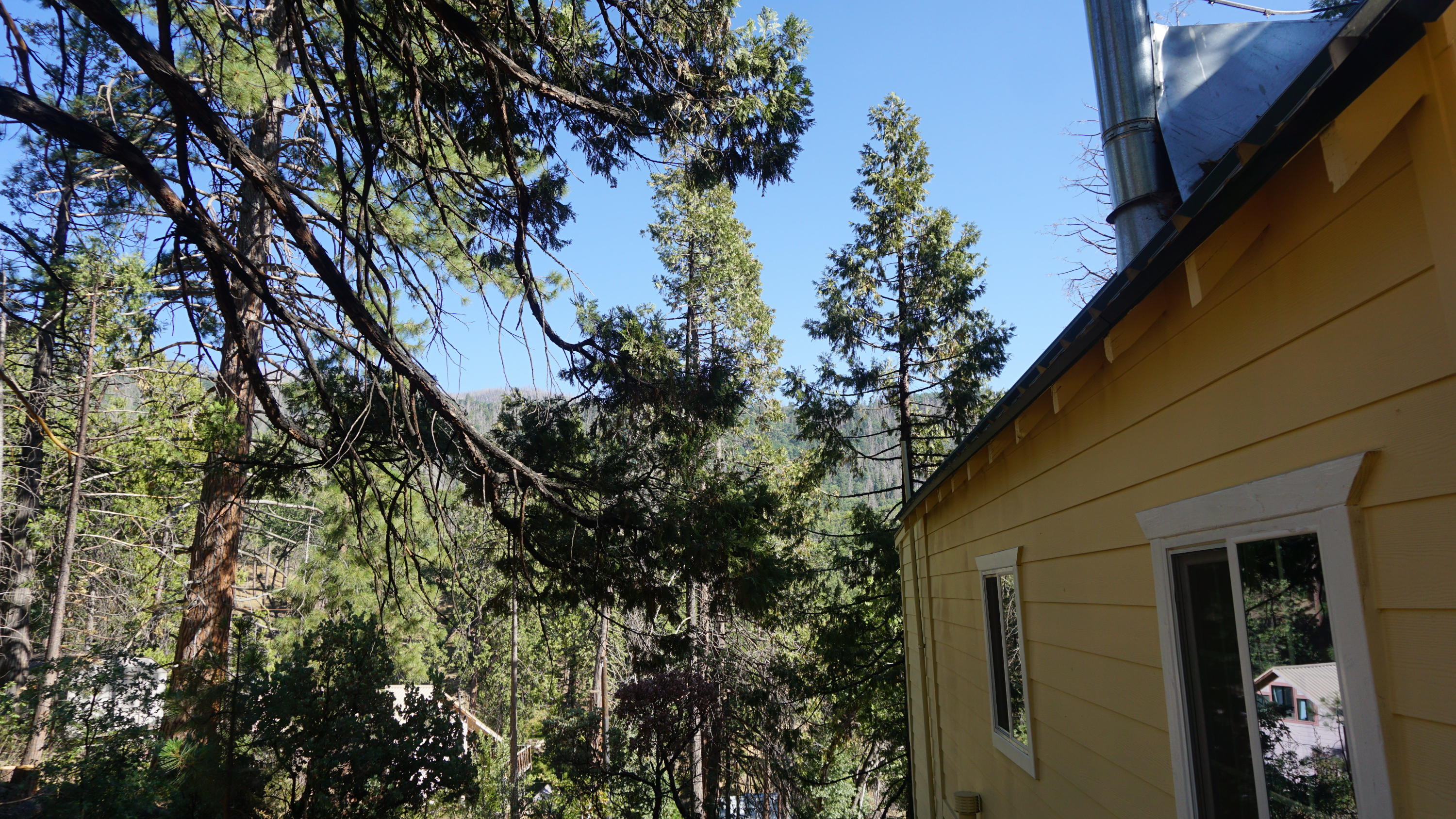 45863 Ridge Road Posey, CA 93260 - Photo 64 of 76 DSC06939