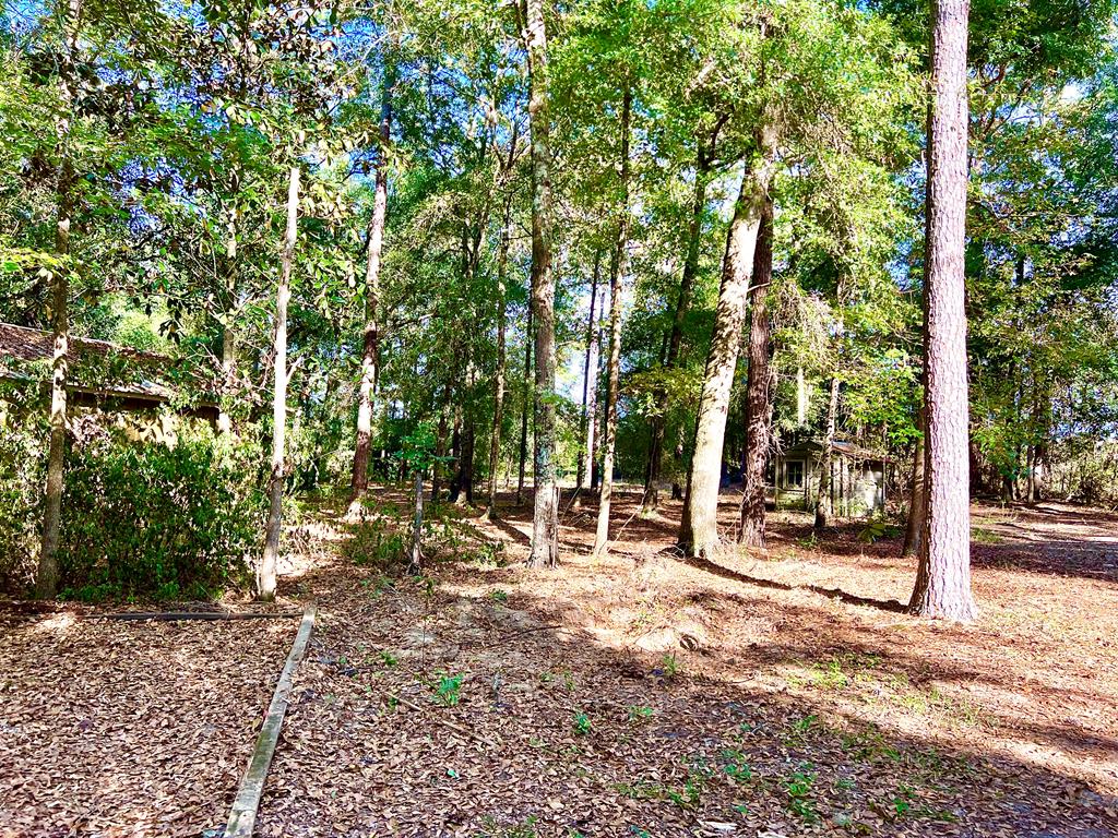 1328 Chestnutt Road Slocomb, AL 36375 - Photo 23 of 68