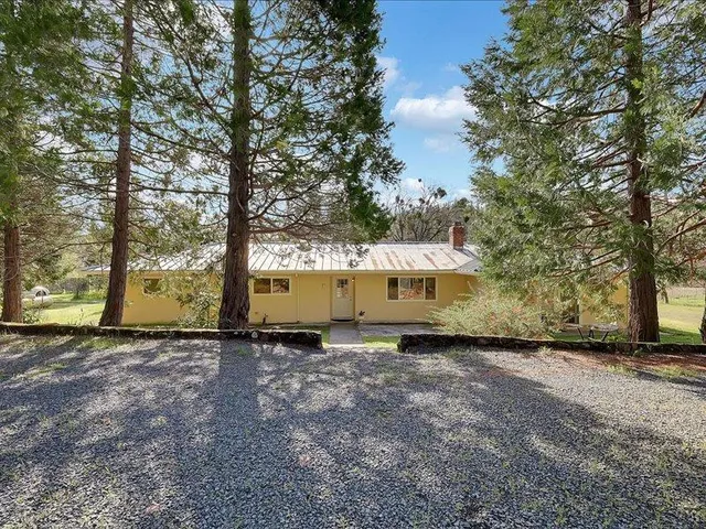 a view of a large tree with house in the background