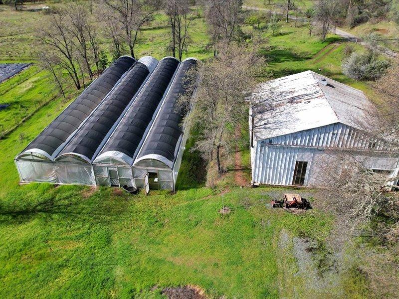 13001 Yuba-Nevada Road Dobbins, CA 95935 - Photo 60 of 63 a view of a house with a yard