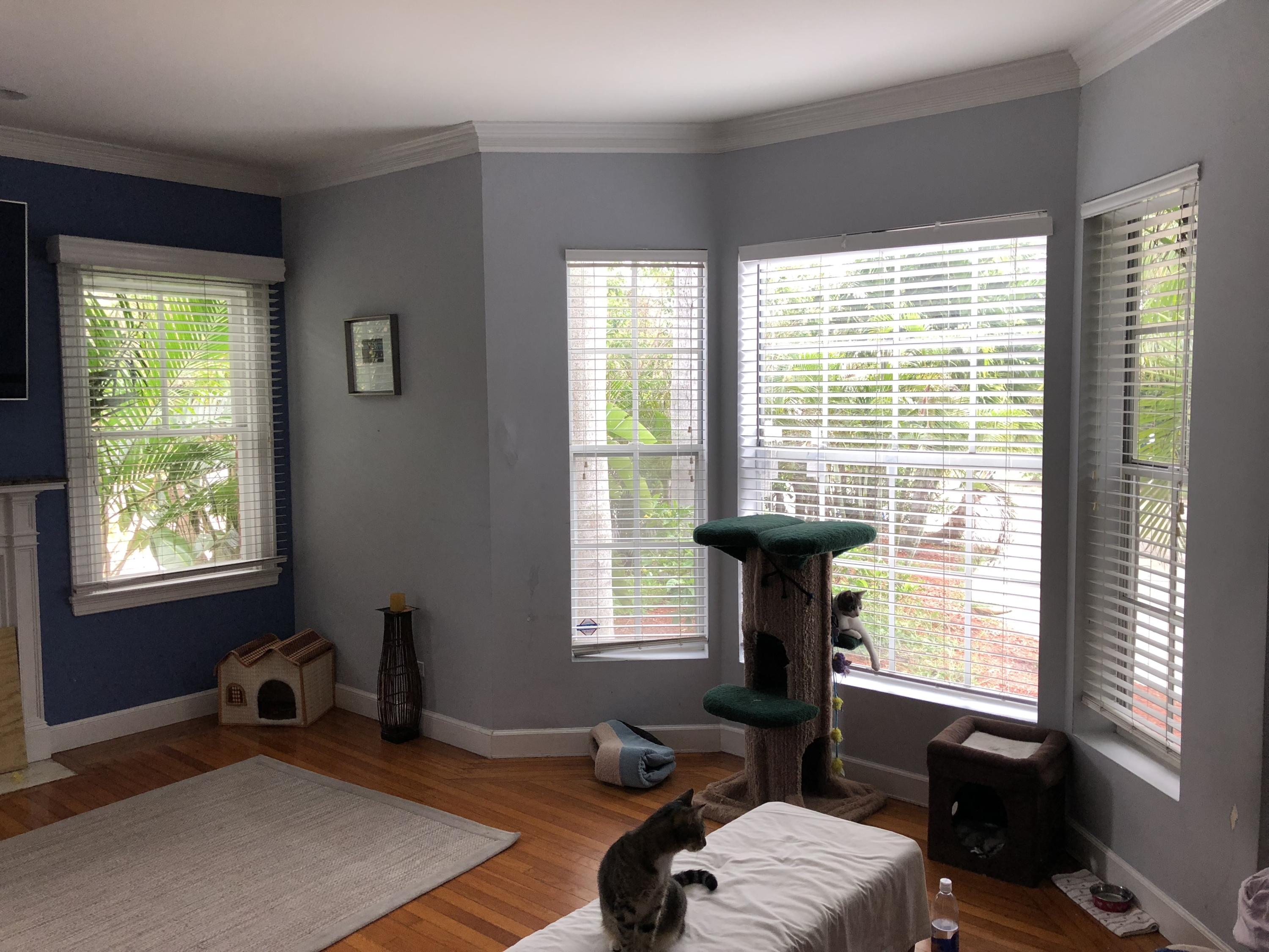 381 Potter Road West Palm Beach, FL 33405 - Photo 10 of 12 IMG_0019