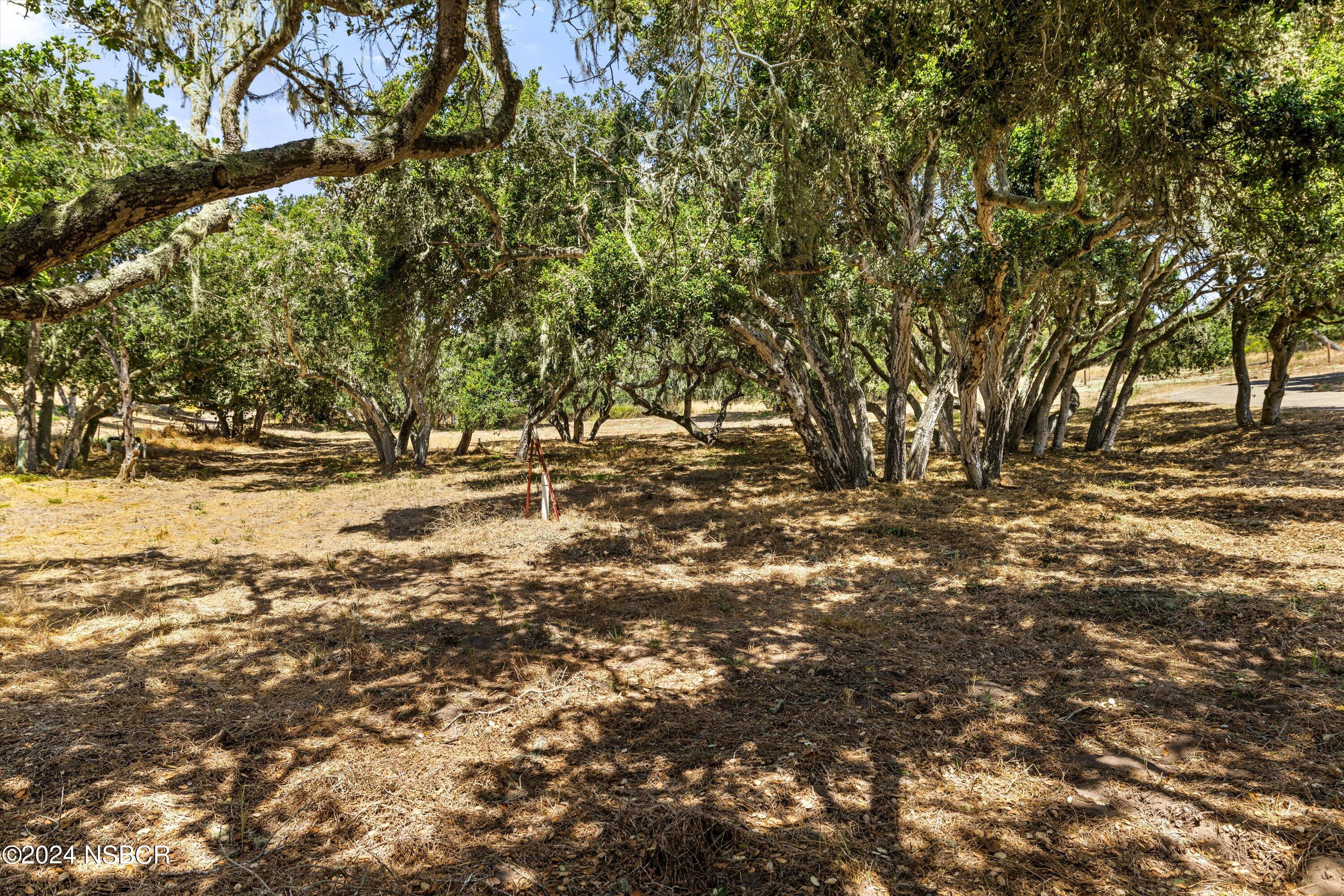 4281 Highway 246 Lompoc, CA 93436 - Photo 36 of 60 a view of outdoor space with patio