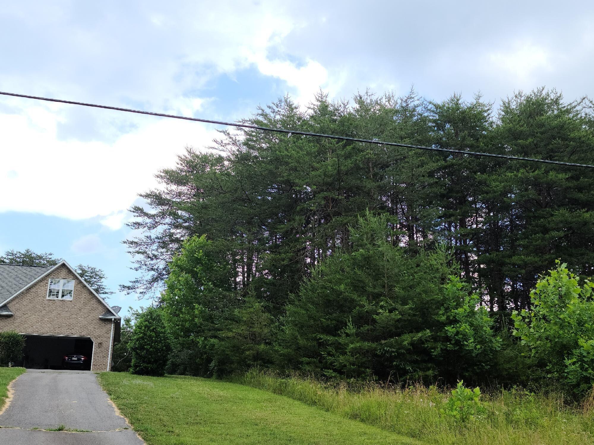 a view of a yard