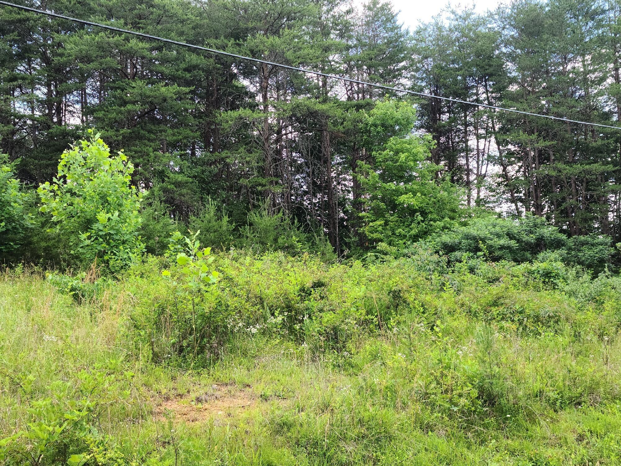 Lot 4 Montevista Rd Union Union Hall, VA 24176 - Photo 2 of 4 a view of a garden