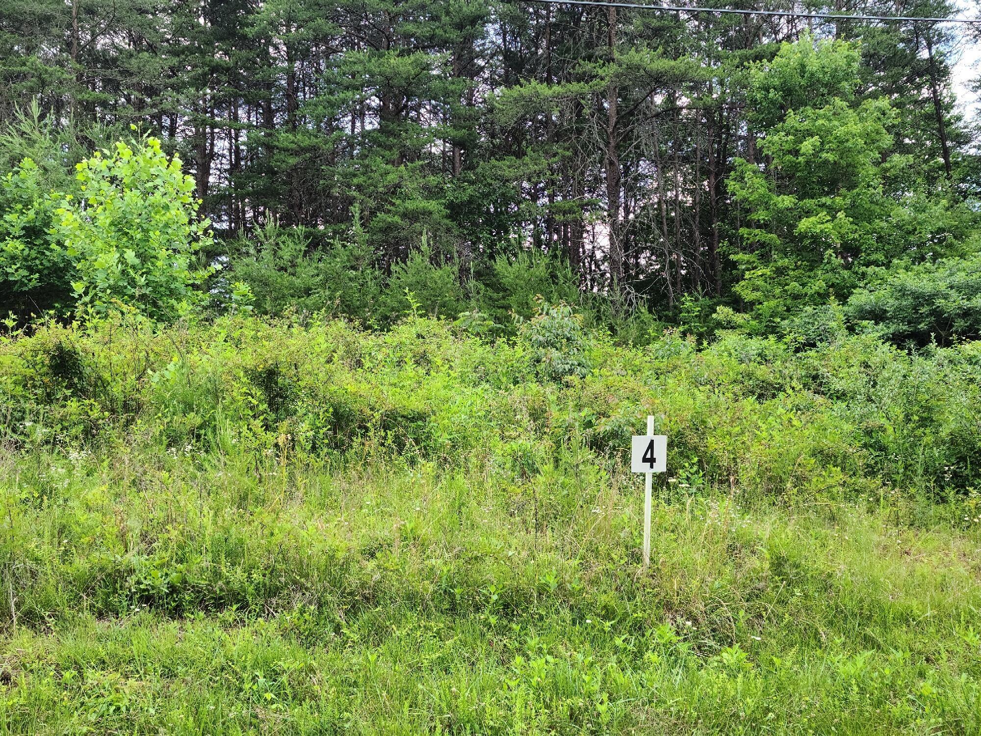 Lot 4 Montevista Rd Union Union Hall, VA 24176 - Photo 3 of 4 a backyard of a house with lots of green space and trees