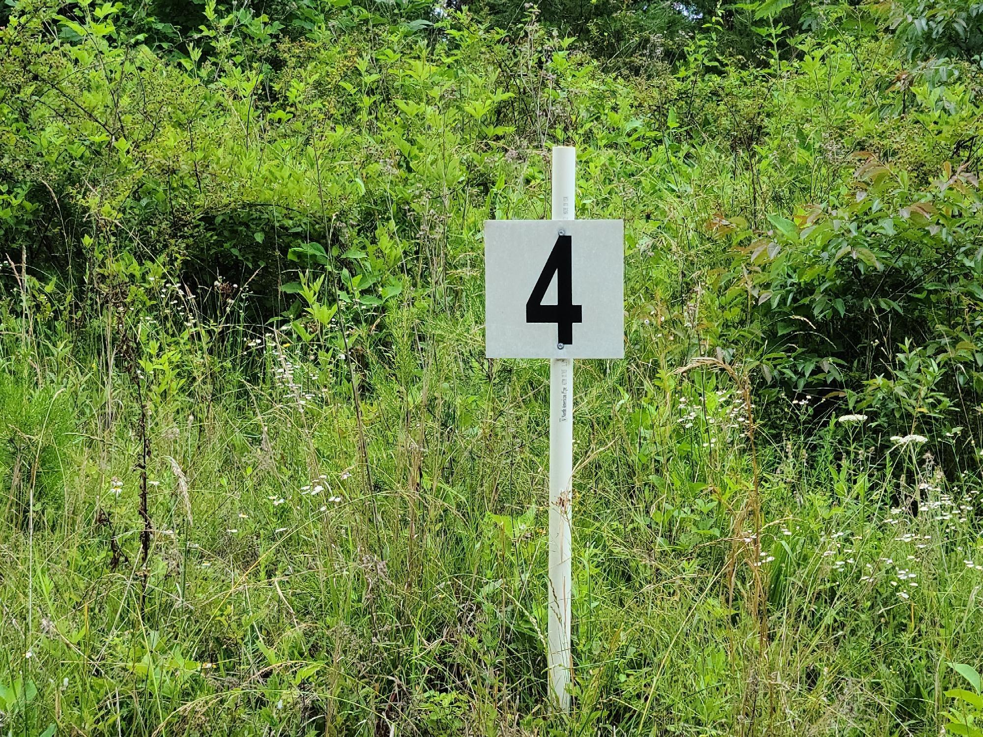 Lot 4 Montevista Rd Union Union Hall, VA 24176 - Photo 4 of 4 a close up of a plant in a garden