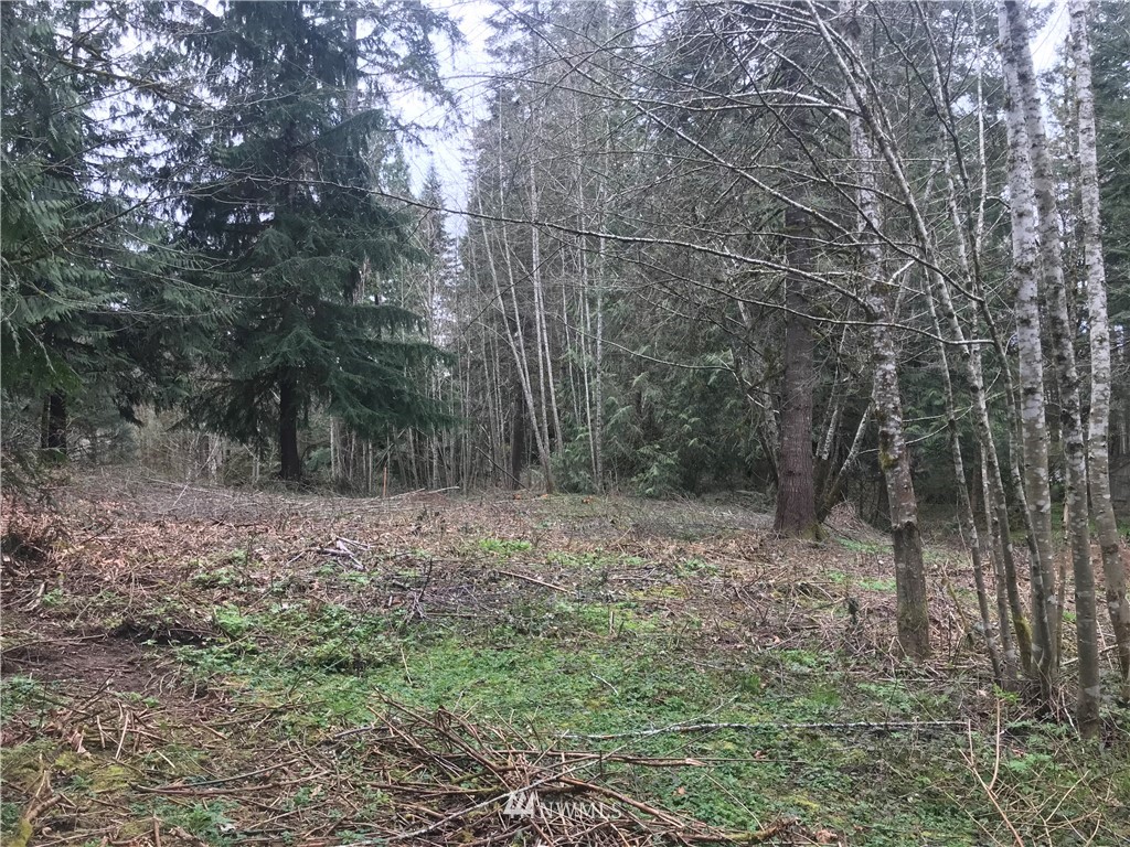 4111 Delphi Road Southwest Olympia, WA 98512 - Photo 1 of 11 Gallery Image 1