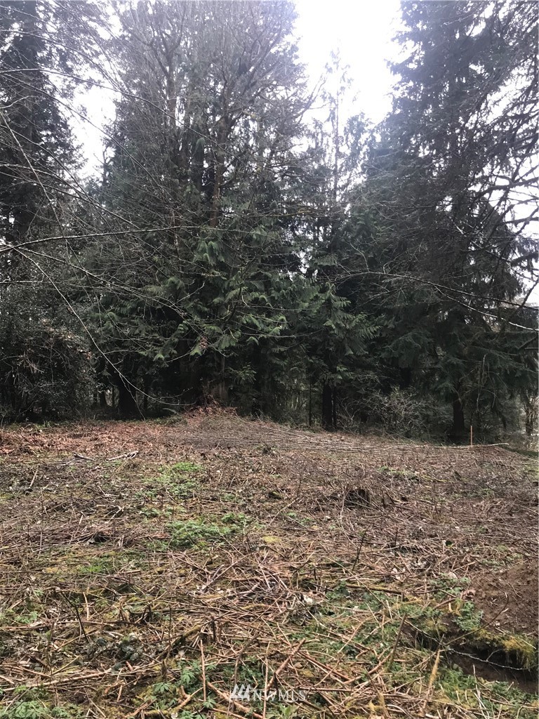 4111 Delphi Road Southwest Olympia, WA 98512 - Photo 2 of 11 Gallery Image 2