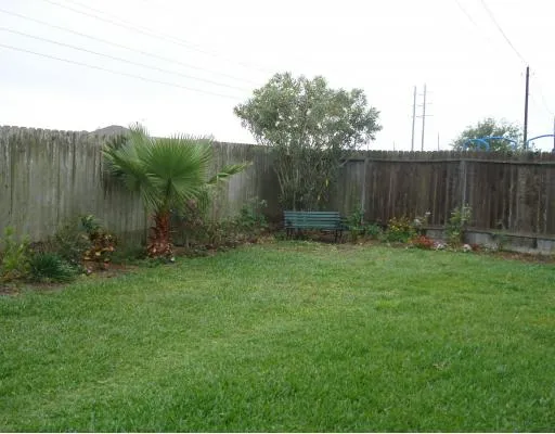 a view of garden with tall trees