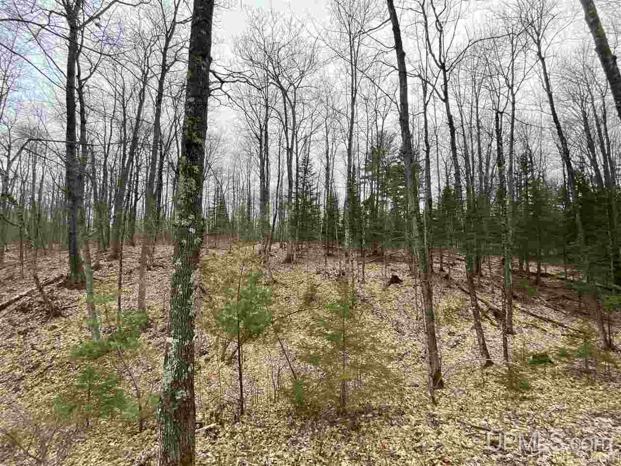 Tbd Plains Cutoff Road Baraga, MI 49908 - Photo 3 of 49