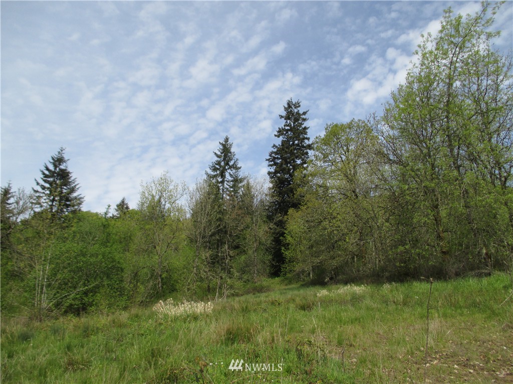 0 Gore Road Kalama, WA 98625 - Photo 4 of 12 Gallery Image 4