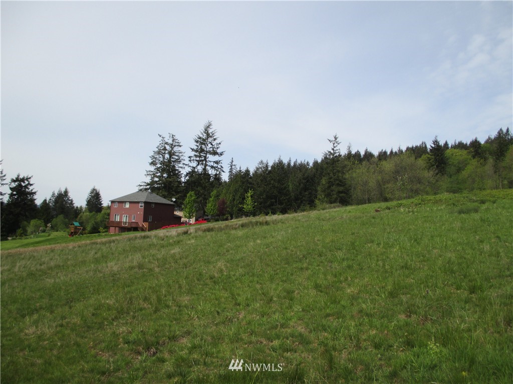 0 Gore Road Kalama, WA 98625 - Photo 6 of 12 Gallery Image 6